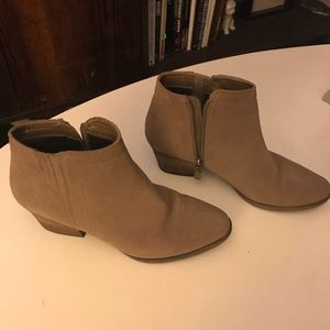 blondo valli mushroom